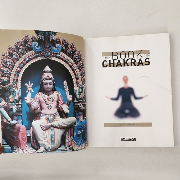 The Book of Chakras - Picture 6 of 9
